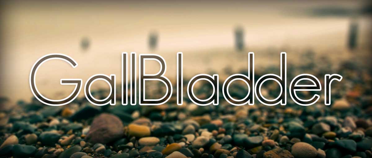 WHAT IS THE GALLBLADDER?